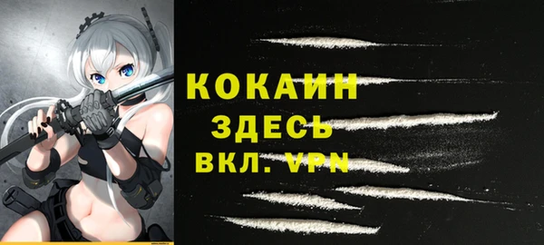 крисы Бородино