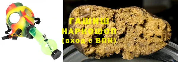 крисы Бородино