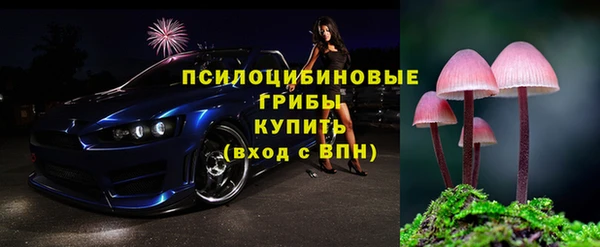 крисы Бородино