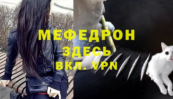 крисы Бородино