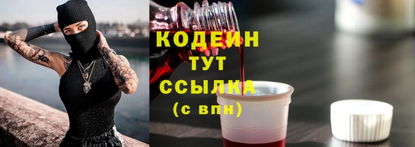 молекула духа Бугульма