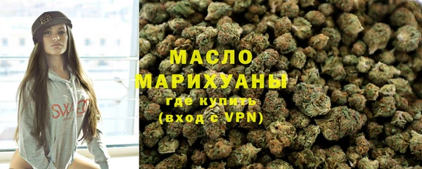 крисы Бородино
