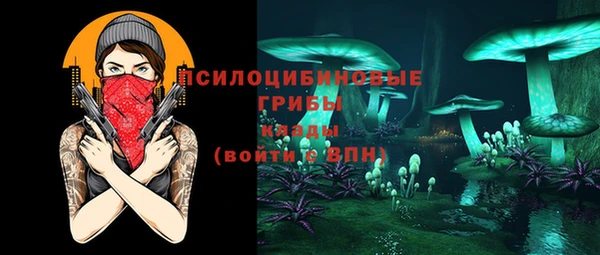 Альфа ПВП Богородицк