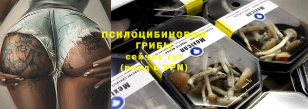 apvp Богданович