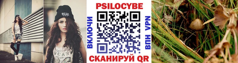 Псилоцибиновые грибы MAGIC MUSHROOMS  omg зеркало  Вязники 
